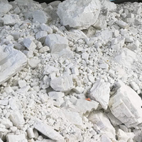 广西河池发现一处储量约6亿吨的碳酸钙矿床